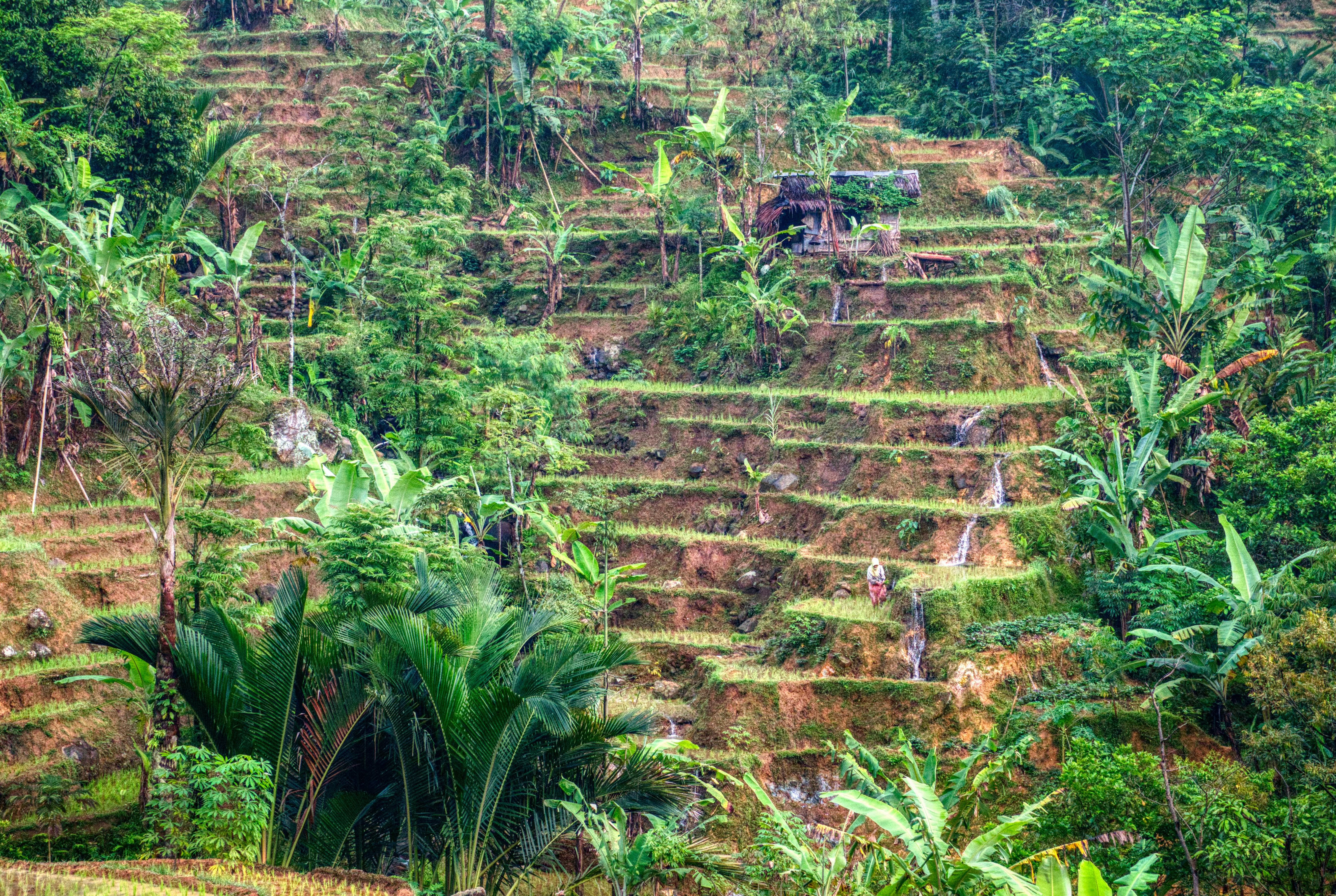 Modern Mechanization in Large-Scale Agriculture