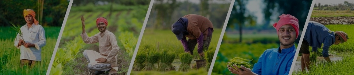 ನಮ್ಮ ಸೇವೆಗಳು